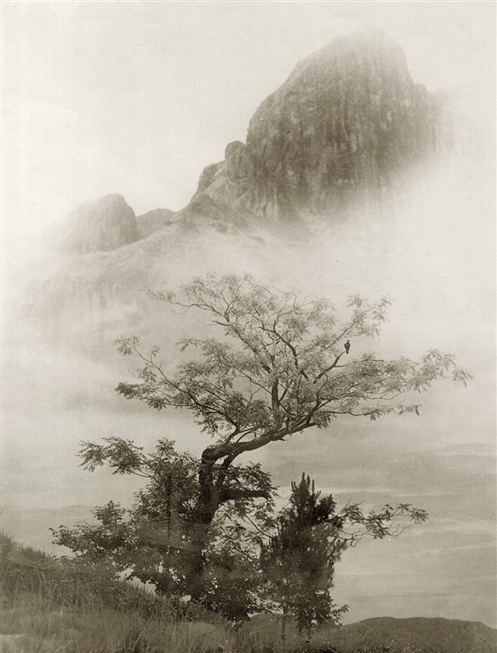 /Users/guozheyan/Desktop/19秋首拍图片/GRB/165.jpg
